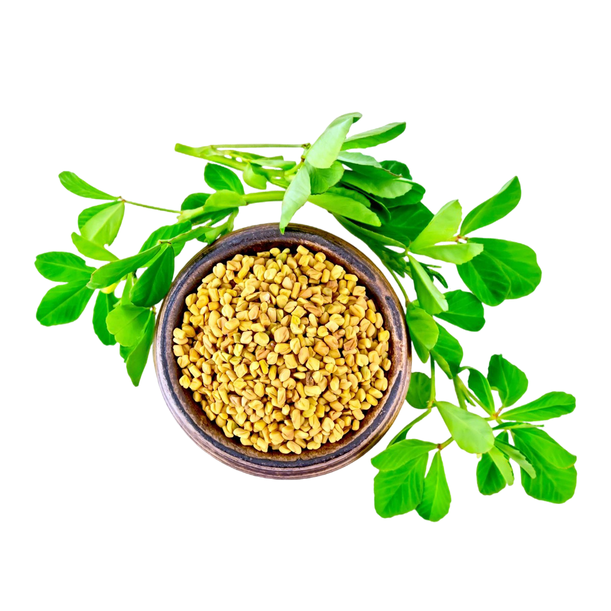 Fenugreek Leaves